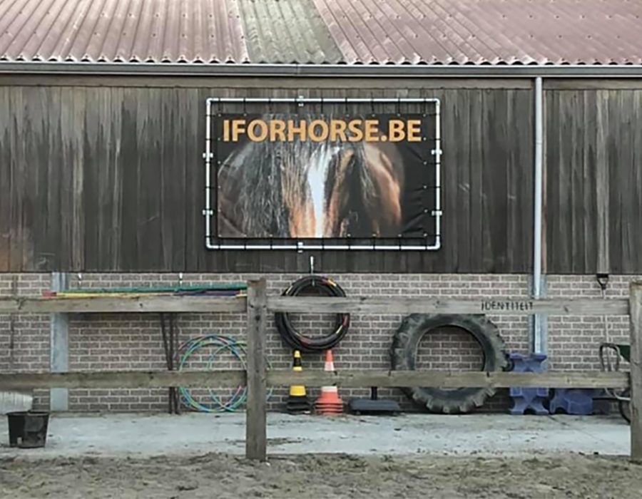 I For Horse Project - Spandoek met frame